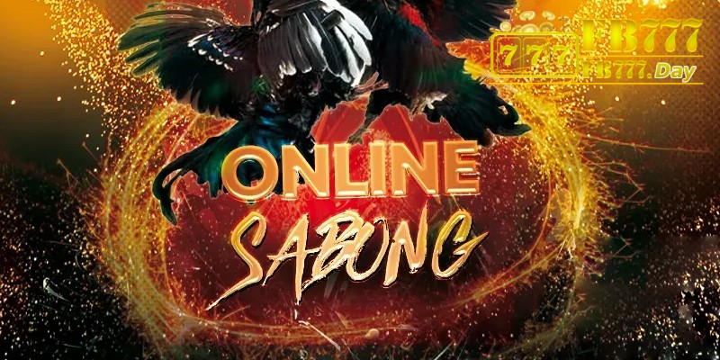 Unveiling Professional Insights for Online Sabong at FB777 2 {6}
