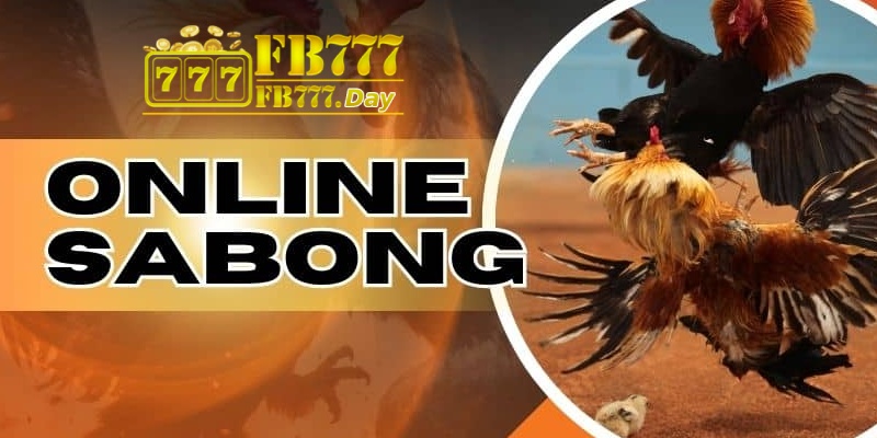 Unveiling Professional Insights for Online Sabong at FB777 1 What is Online Sabong?