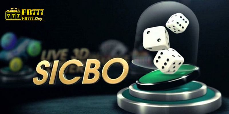 Understanding SicBo: A Comprehensive Guide to Playing and Winning This Fascinating Dice Game 4 strategies for winning at sicbo